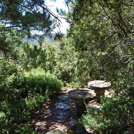 Moinho Da Senta Βίλα Rio Maior Εξωτερικό φωτογραφία