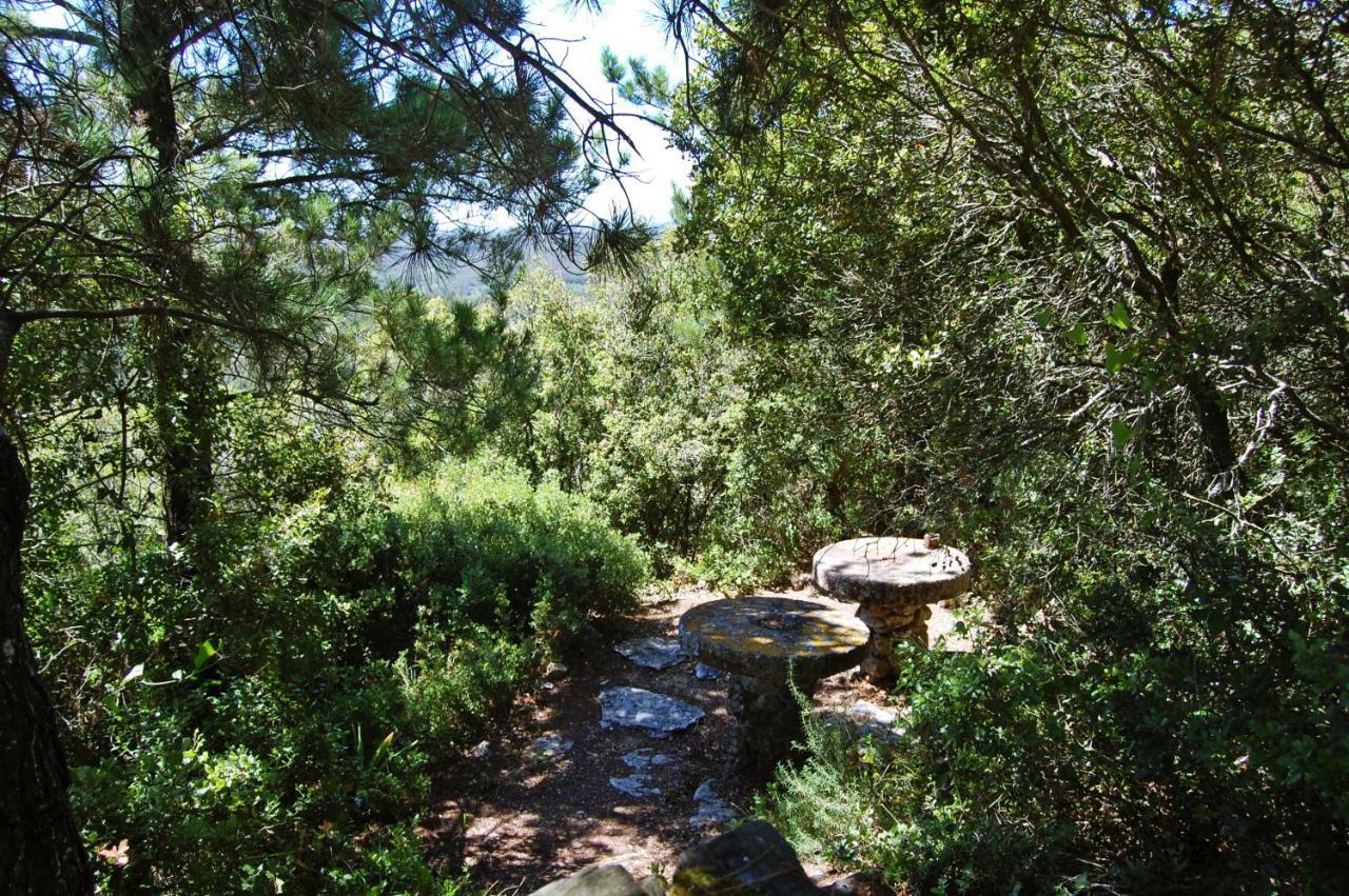 Moinho Da Senta Βίλα Rio Maior Εξωτερικό φωτογραφία